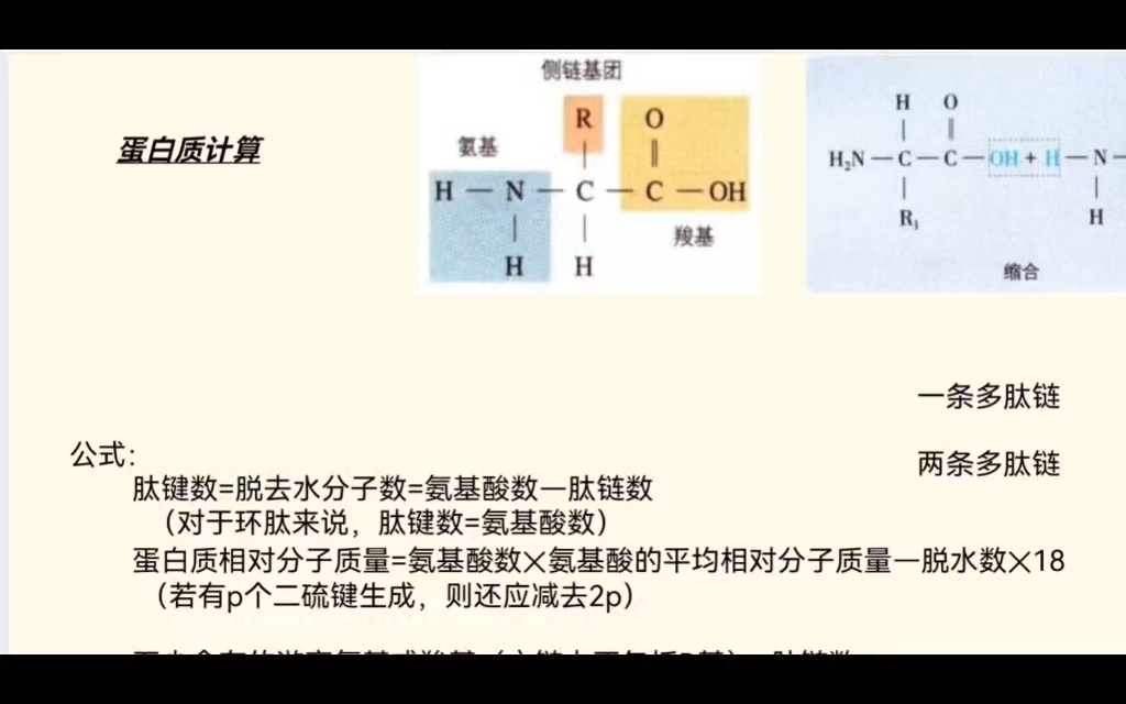 10分钟!搞定蛋白质计算~哔哩哔哩bilibili