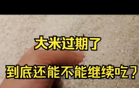 大米过期了,还可以继续吃吗?原来真相是这样的!哔哩哔哩bilibili