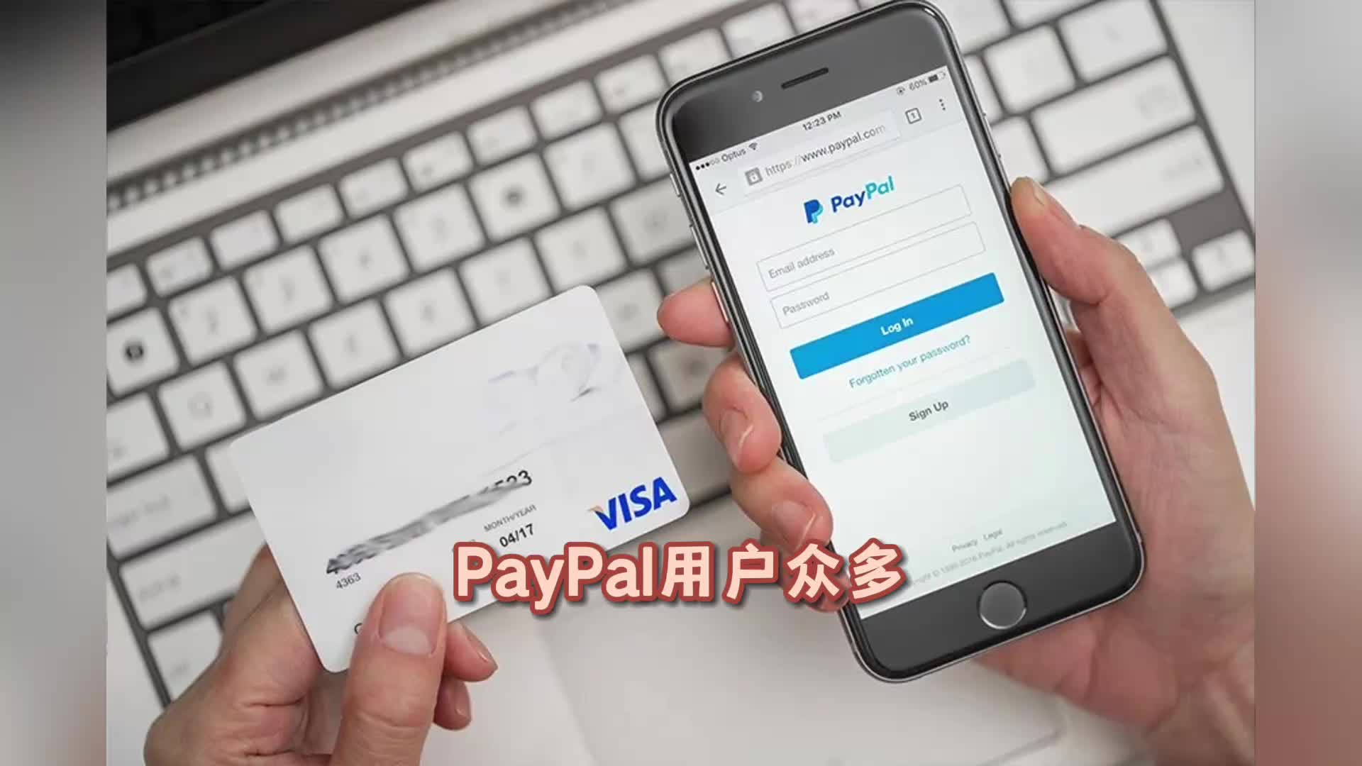 PayPal怎么绑定国内储蓄卡?哔哩哔哩bilibili