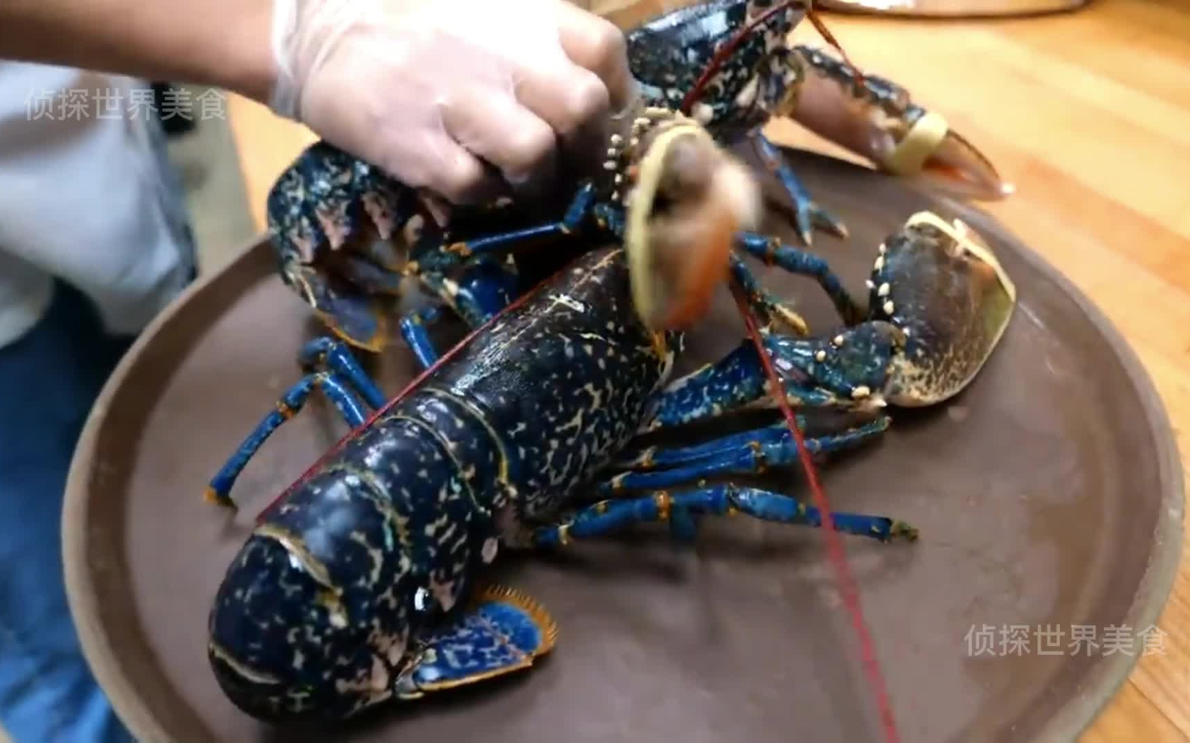 蓝色龙虾 - 看美国人如何生吃大龙虾