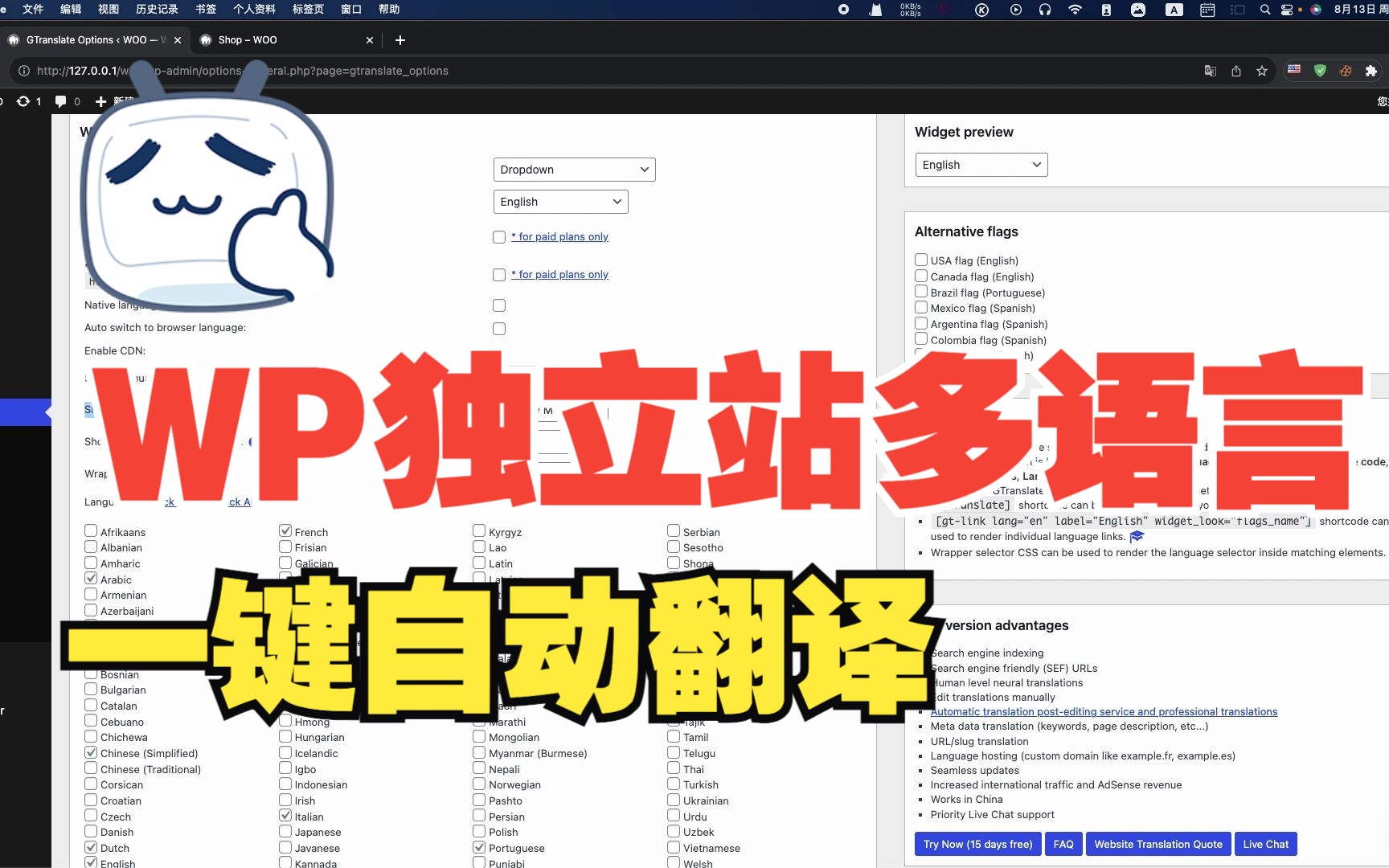 WordPress独立站添加多语言:免费一键自动翻译,不限制语言数量哔哩哔哩bilibili