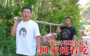 Descargar video: 农村小伙花360买颗大驴头来吃，卤熟后浇上辣椒，咥上一口太美了