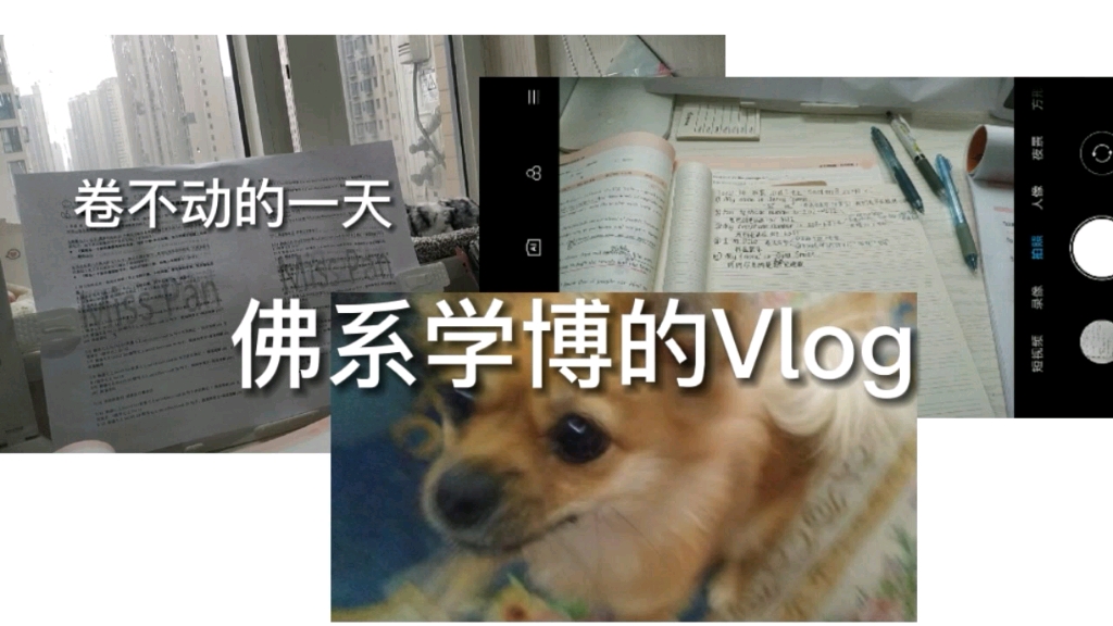 佛系学博的vlog哔哩哔哩bilibili