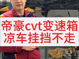 Download Video: 帝豪cvt变速箱凉车挂挡不走