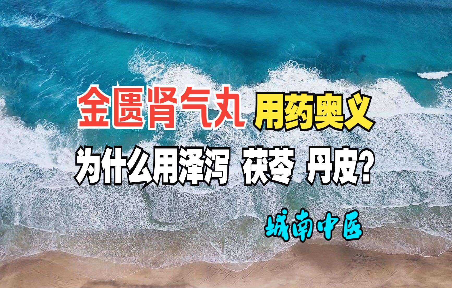 金匮肾气丸的用药奥义,为什么用泽泻、茯苓、丹皮?哔哩哔哩bilibili