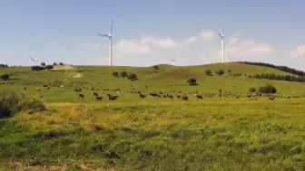 Descargar video: 北京出发承德加丰宁坝上三天两晚怎么玩，大概多少钱