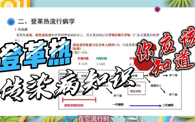 夏天到了,登革热你了解吗?哔哩哔哩bilibili