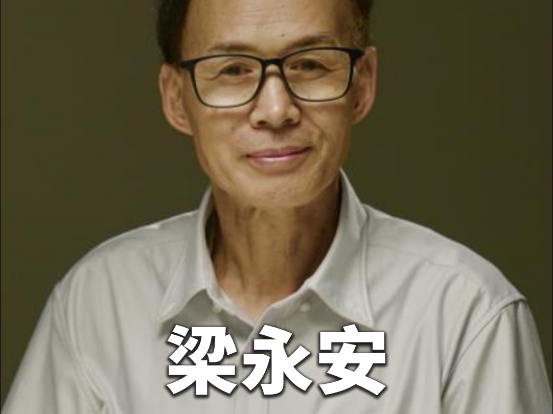 梁永安:从人类历史来讲,内卷也是个伟大的进步哔哩哔哩bilibili