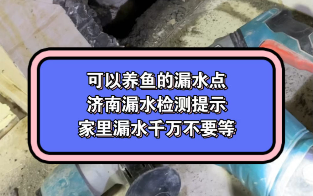 济南金巢漏水检测公司,承接阳台漏水维修,客厅漏水检测维修,厨房漏水维修,地暖漏水检测维修,消防管网漏水检测,供水主管道漏水检测定位,一切不...