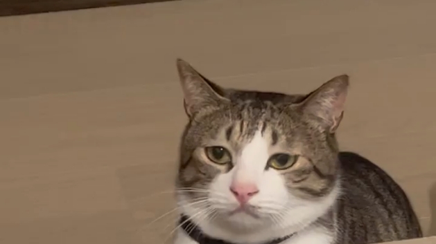 对方对你发出嫉妒嫌弃表情!