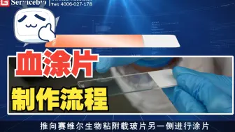 血涂片的制作流程