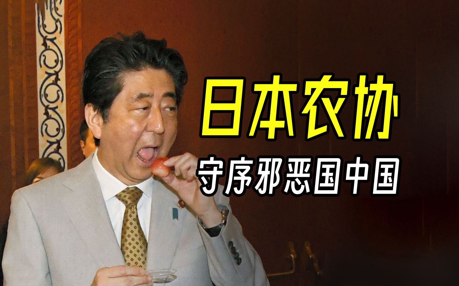 日本水果贵?30倍农药、金融帝国,日本农协比山口组可怕多了哔哩哔哩bilibili