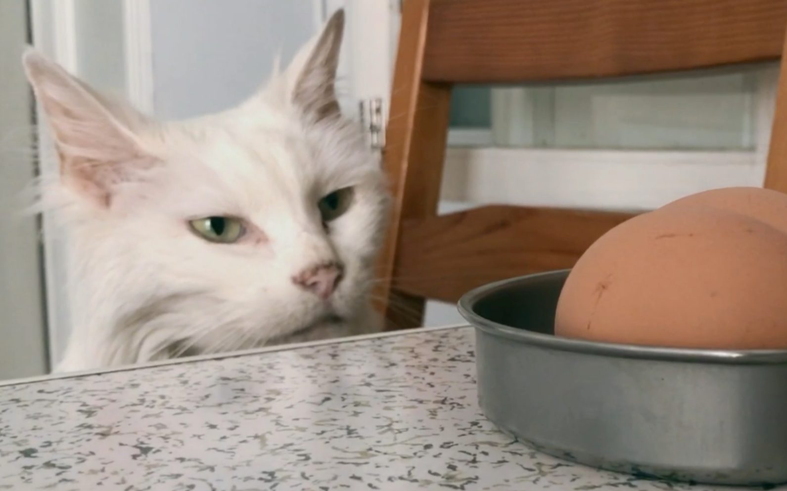 拿叔说中国居民膳食指南每天吃蛋蛋