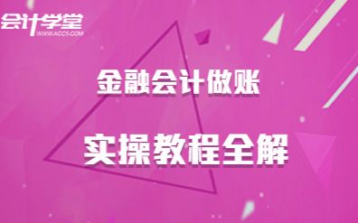 金融会计真账实操视频教程全解哔哩哔哩bilibili