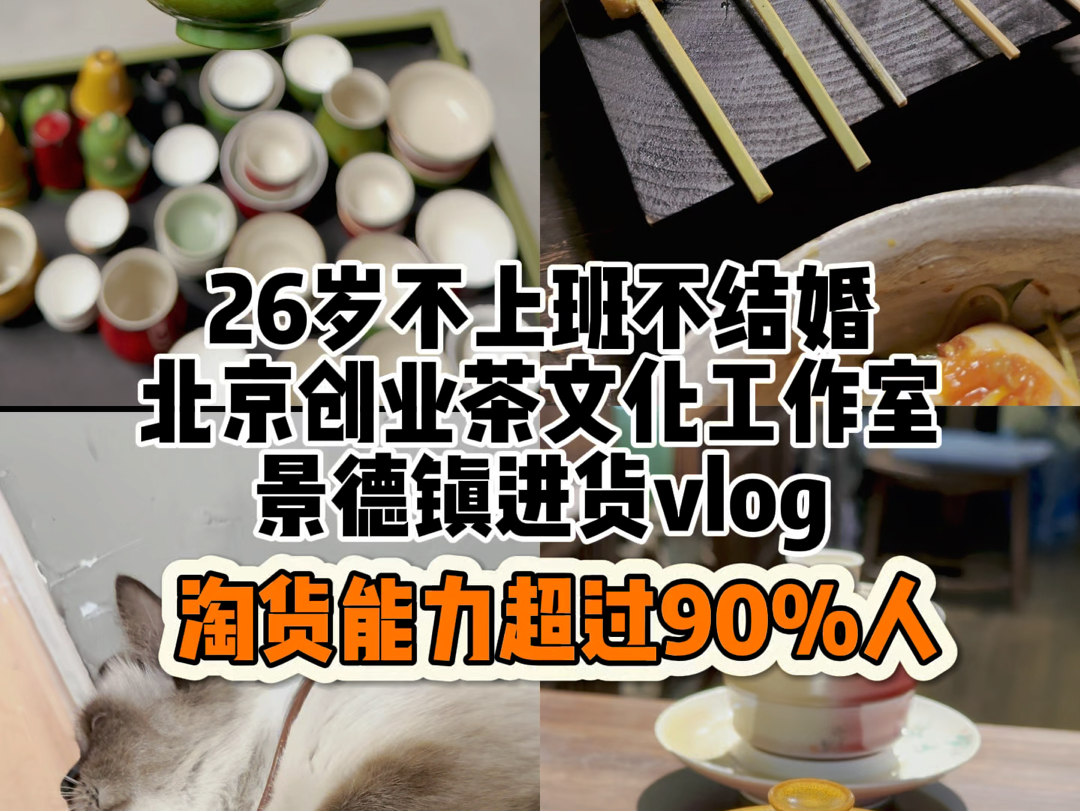 创业vlog4|跟着我做景德镇最会淘货的人(下)哔哩哔哩bilibili