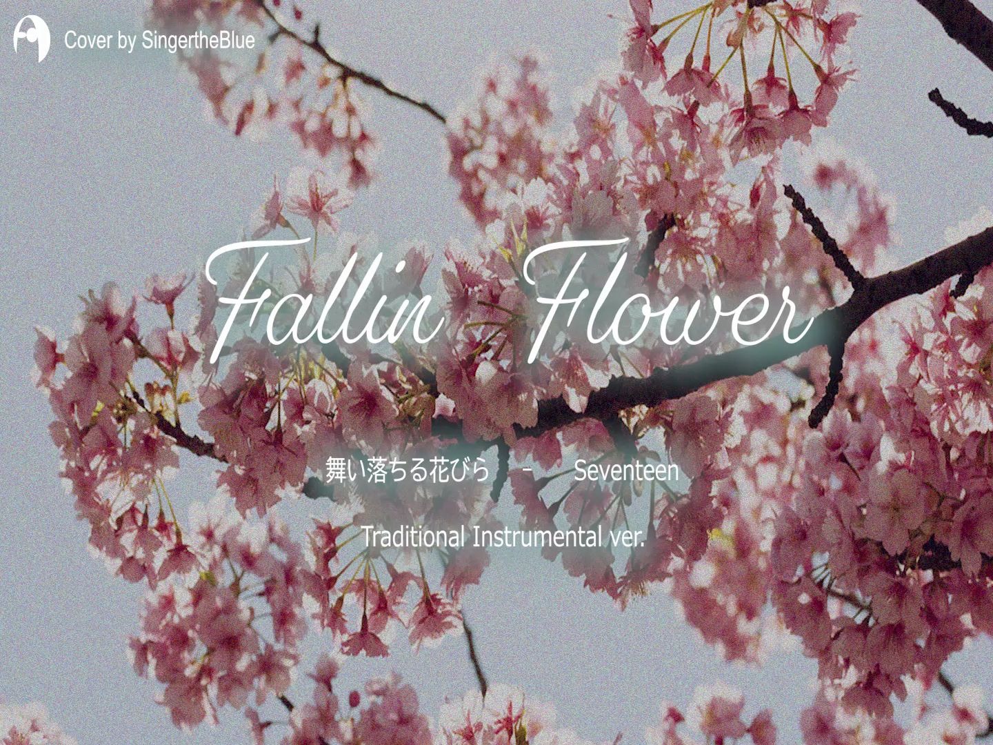 【和风乐器cover】fallin flower- seventeen