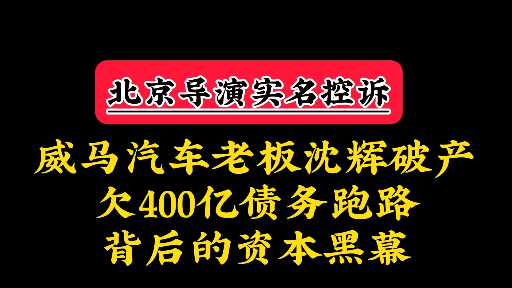 威马汽车老板沈辉破产欠400亿债务跑路背后的资本黑幕哔哩哔哩bilibili