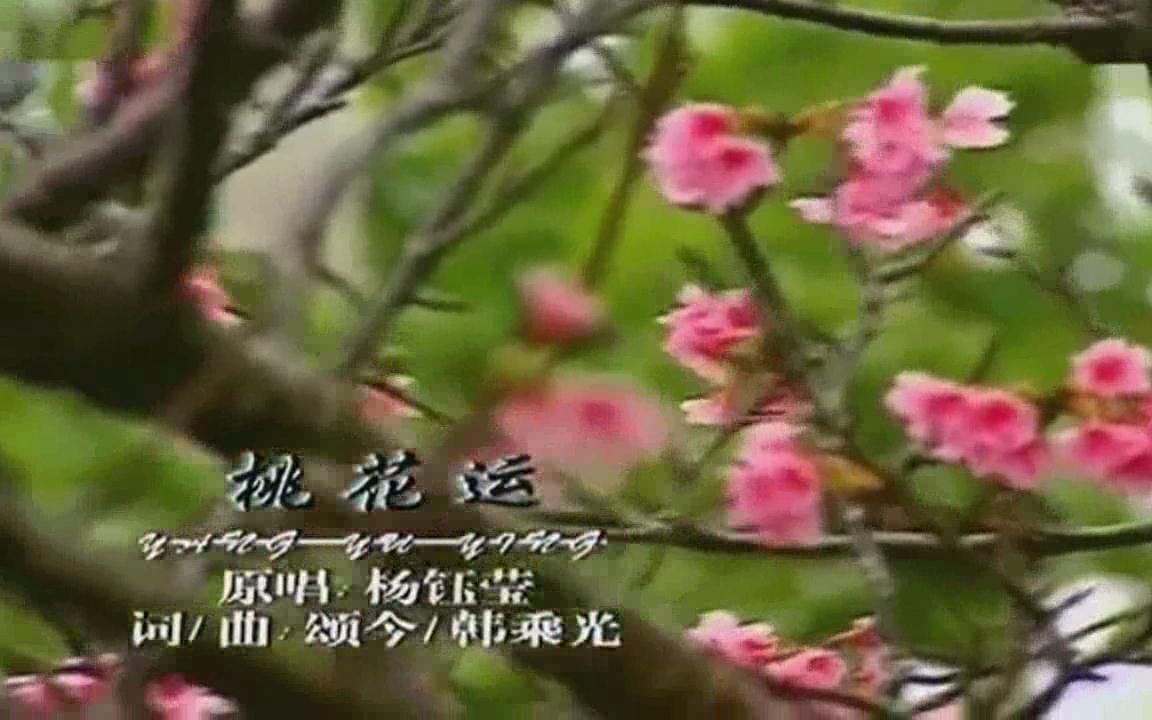 [图]歌曲 桃花运—杨钰莹