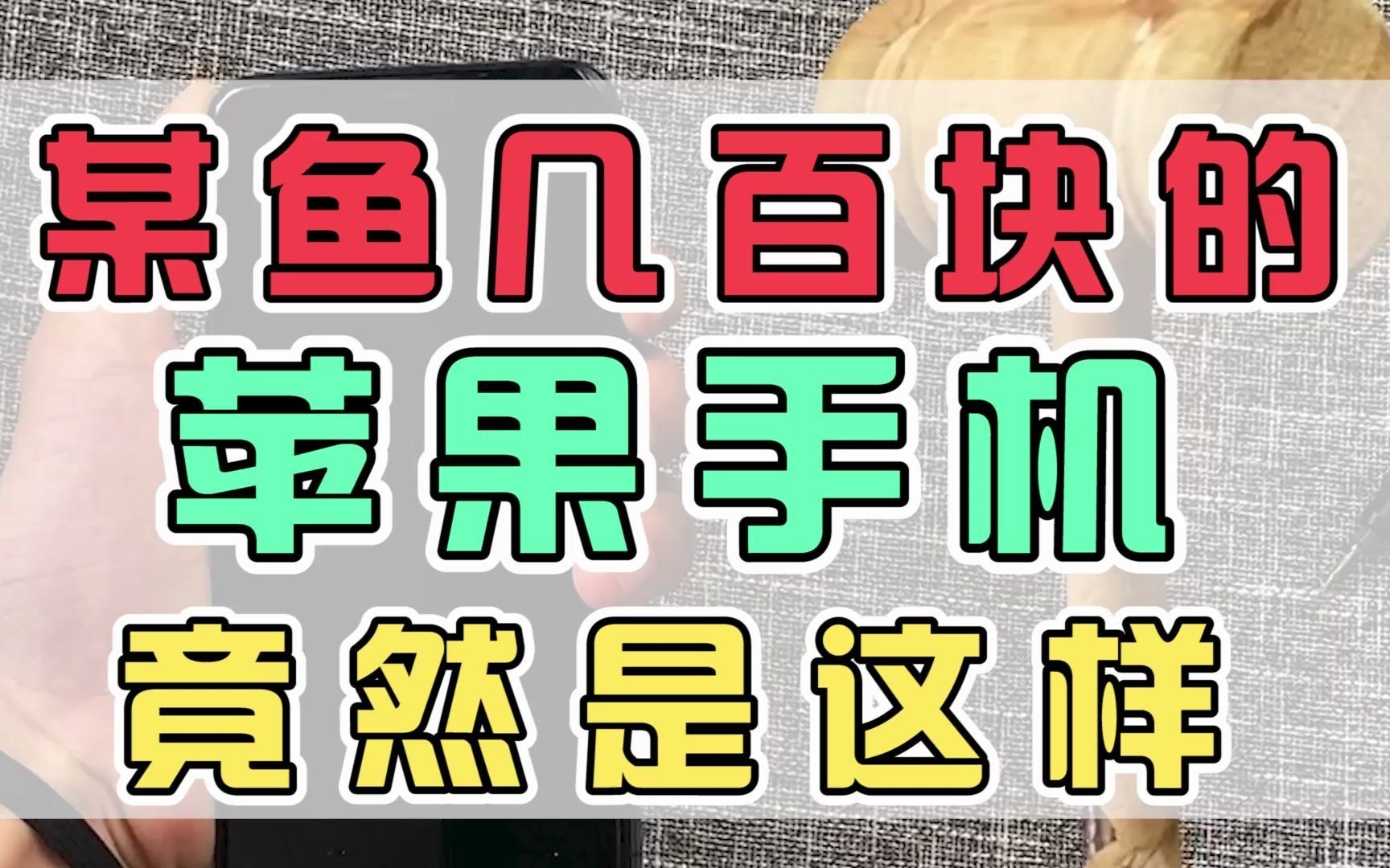 某鱼1000块的iPhone XS max竟然是这么回事,气死我了,大家要小心点哔哩哔哩bilibili