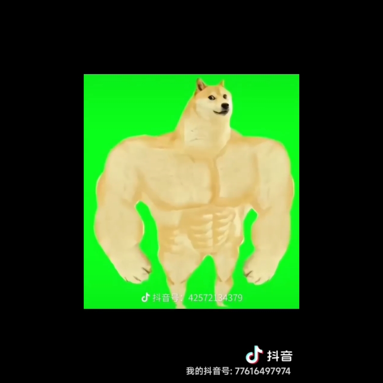 暗区突围的动画素材