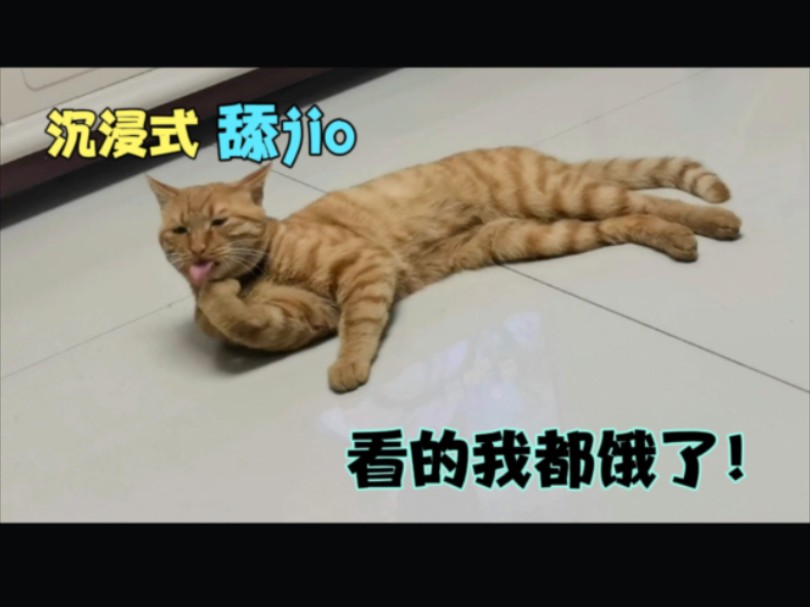 沉浸式舔jio.看的我都饿了!哔哩哔哩bilibili