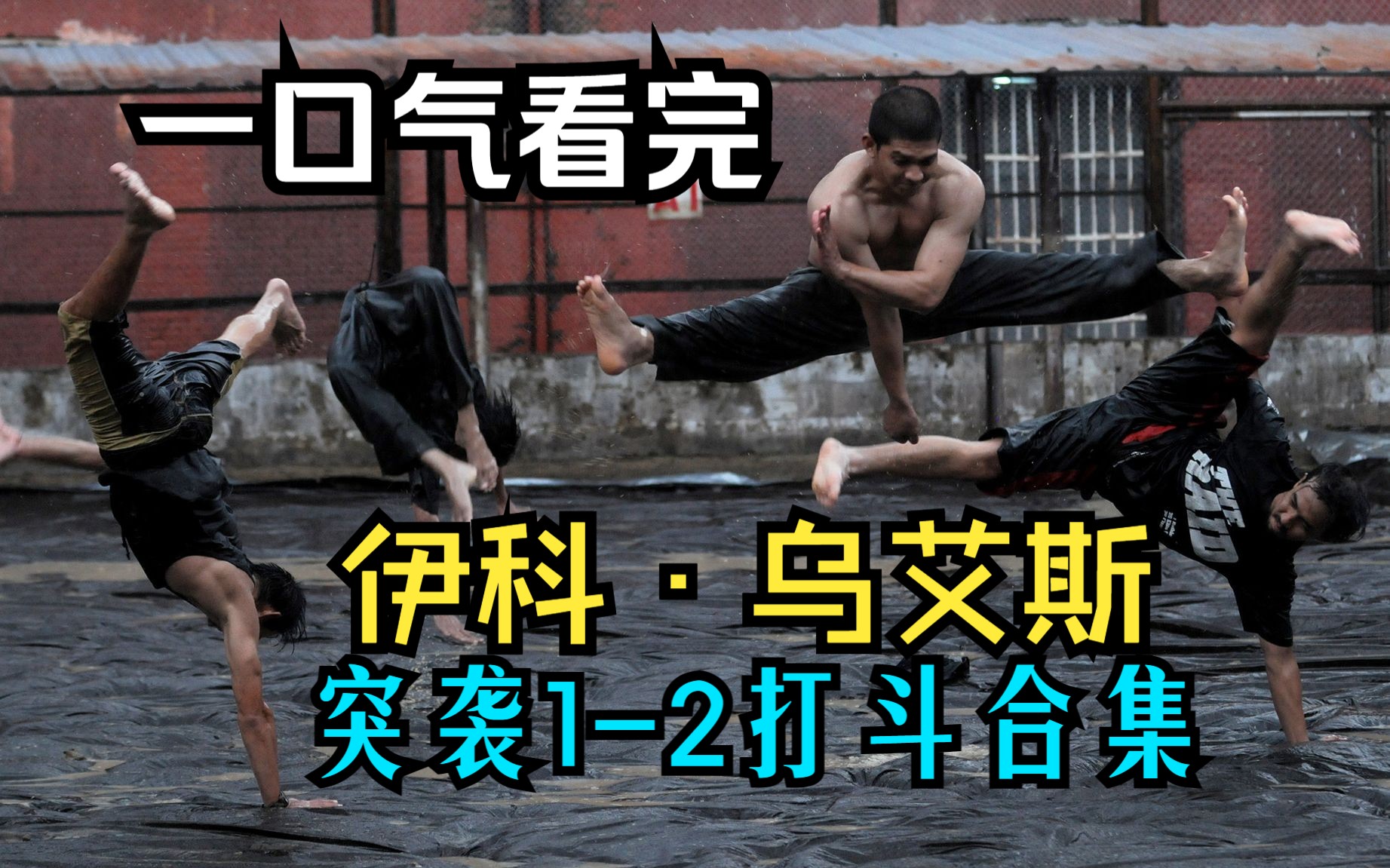 【打斗合集】印尼“托尼贾”伊科ⷮŠ乌艾斯之突袭12动作集锦,厨房一战名扬天下!哔哩哔哩bilibili