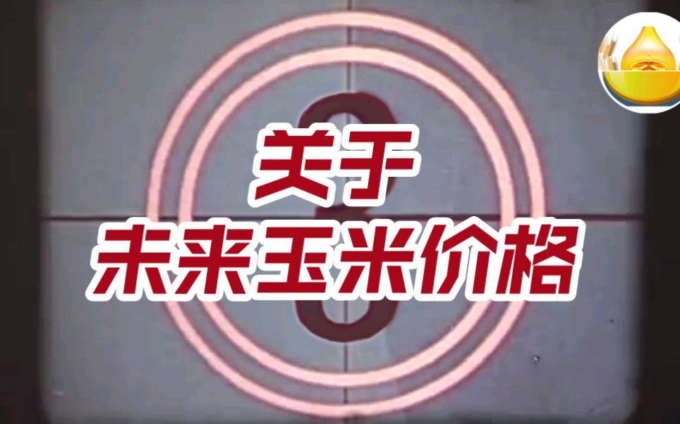 每日粮油直播精剪:关于未来的玉米价格是涨是跌哔哩哔哩bilibili