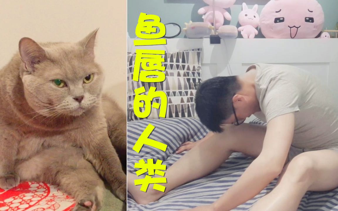 猫奴的日常78期学猫舔大腿.微博开直播!争取每晚都播.哔哩哔哩bilibili