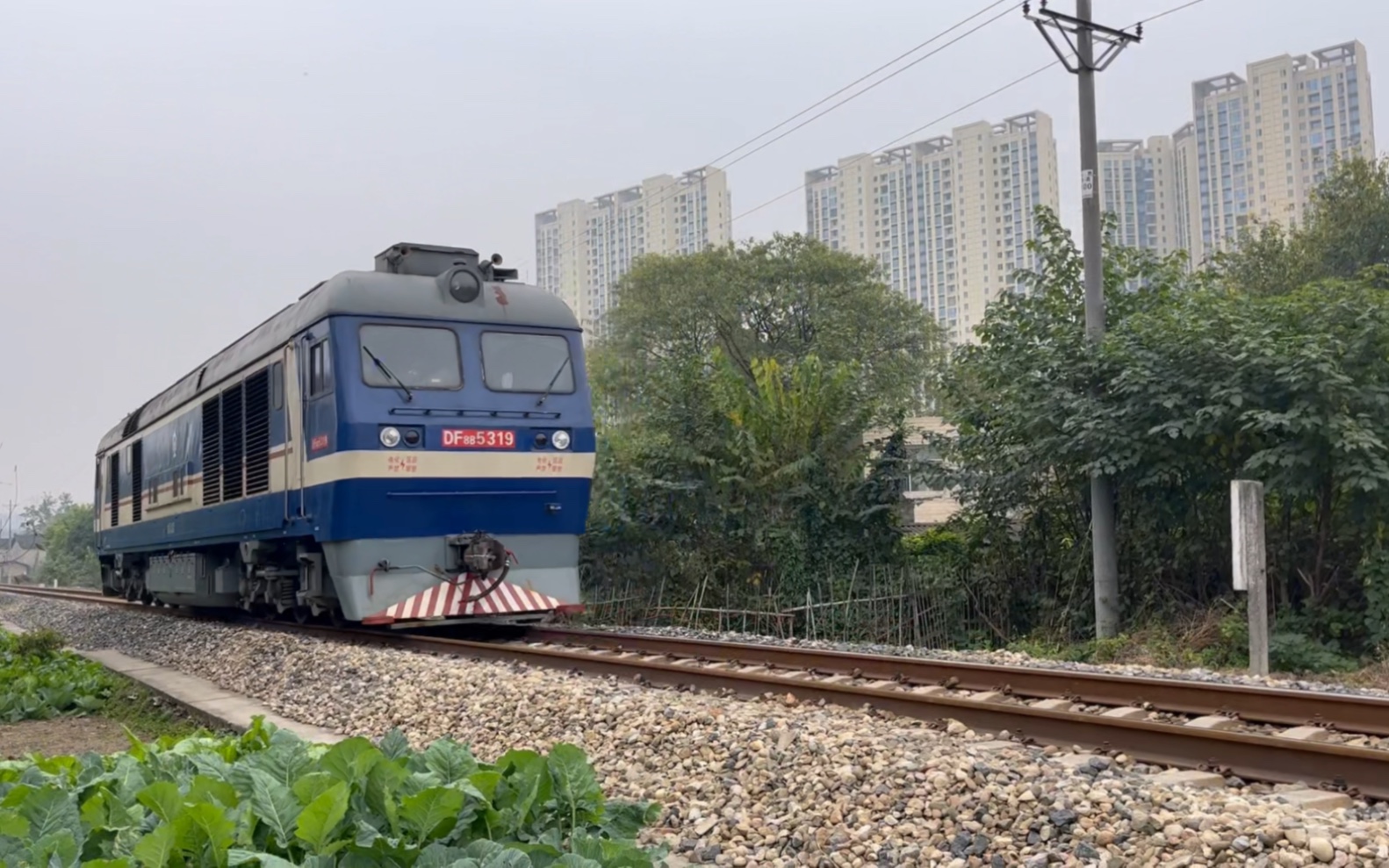 【广岳线】成局成段df8b 5319单只因经广岳线去广汉站方向