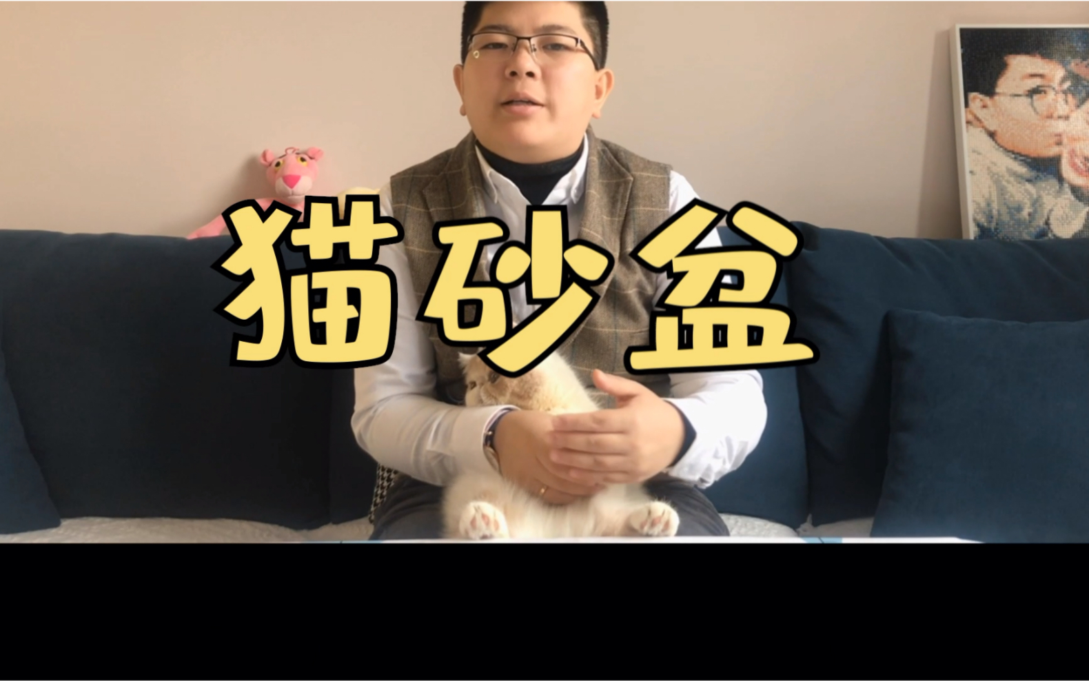 猫洁易全自动猫砂盆大测评—喵仔plus(二)哔哩哔哩bilibili