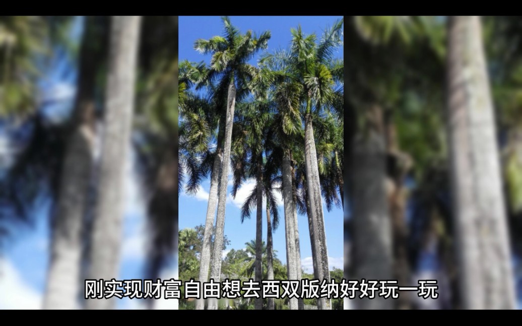 [图]《穿越八零我真的有暴富小技巧》左筱枫小说全文在线阅读（完整版）