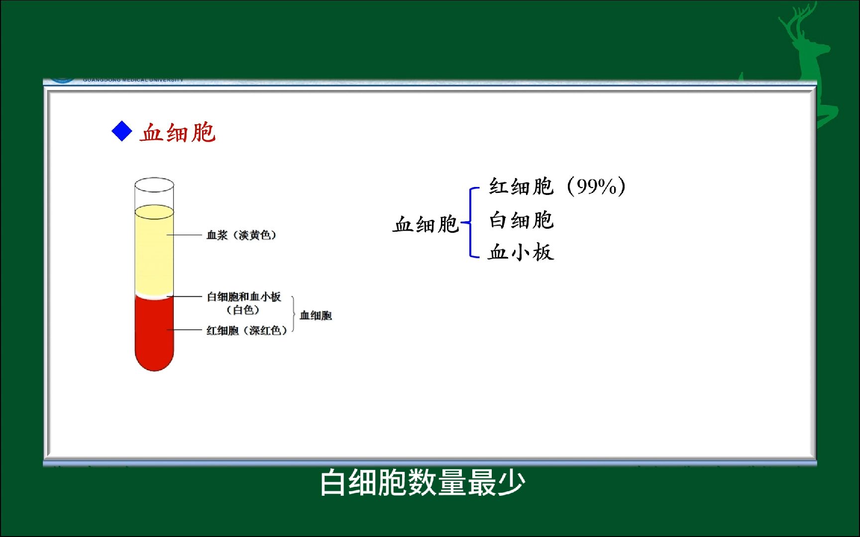 #血液的基本组成#人体生理学#医学科普#每天学习一点点哔哩哔哩bilibili