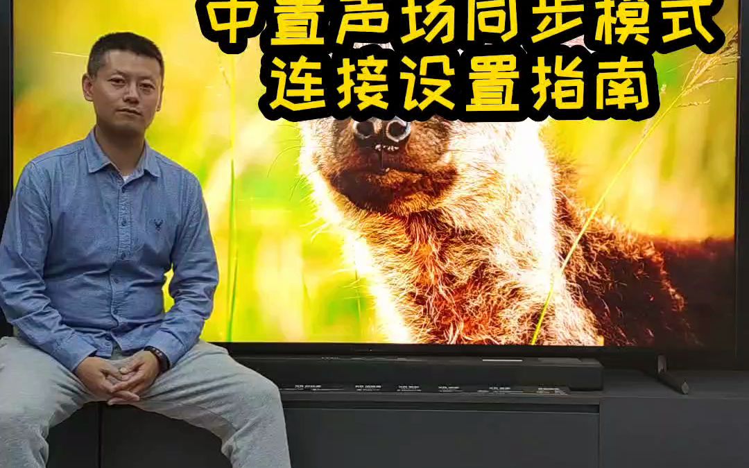 索尼 TV&Sound Bar中置声场同步模式,连接设置指南哔哩哔哩bilibili