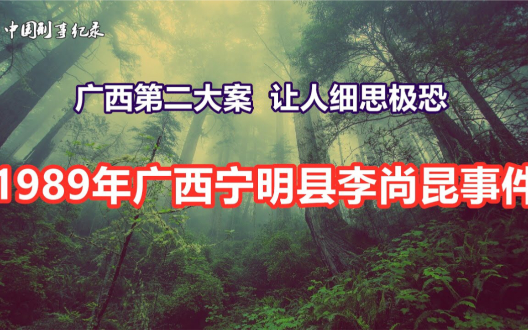 广西刑侦史上第二大案 让人细思极恐的广西宁明县李尚昆事件哔哩哔哩bilibili