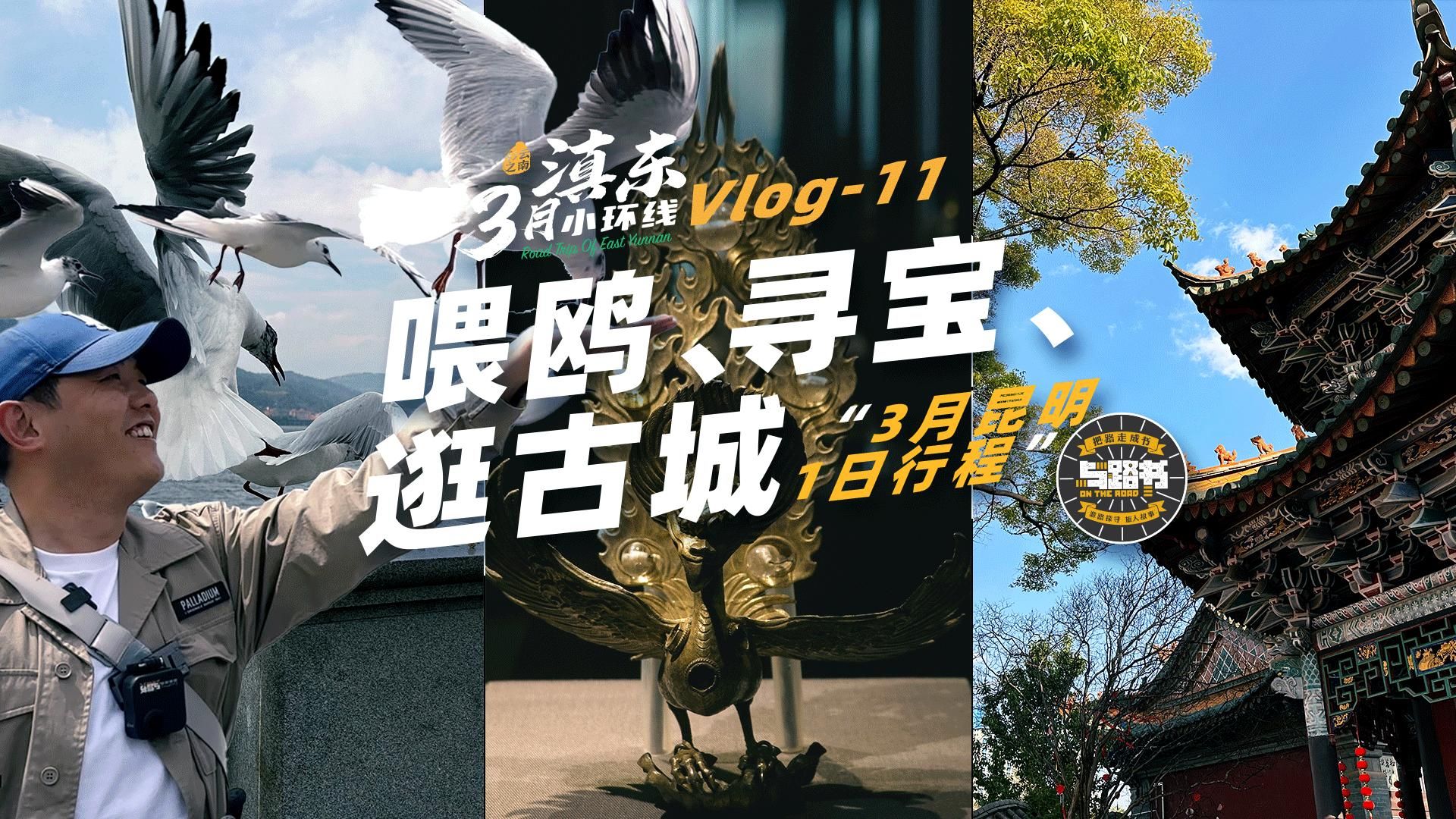 滇东环线vlog113月昆明一日行程我这样安排“喂鸥,寻宝,逛古镇”哔哩哔哩bilibili