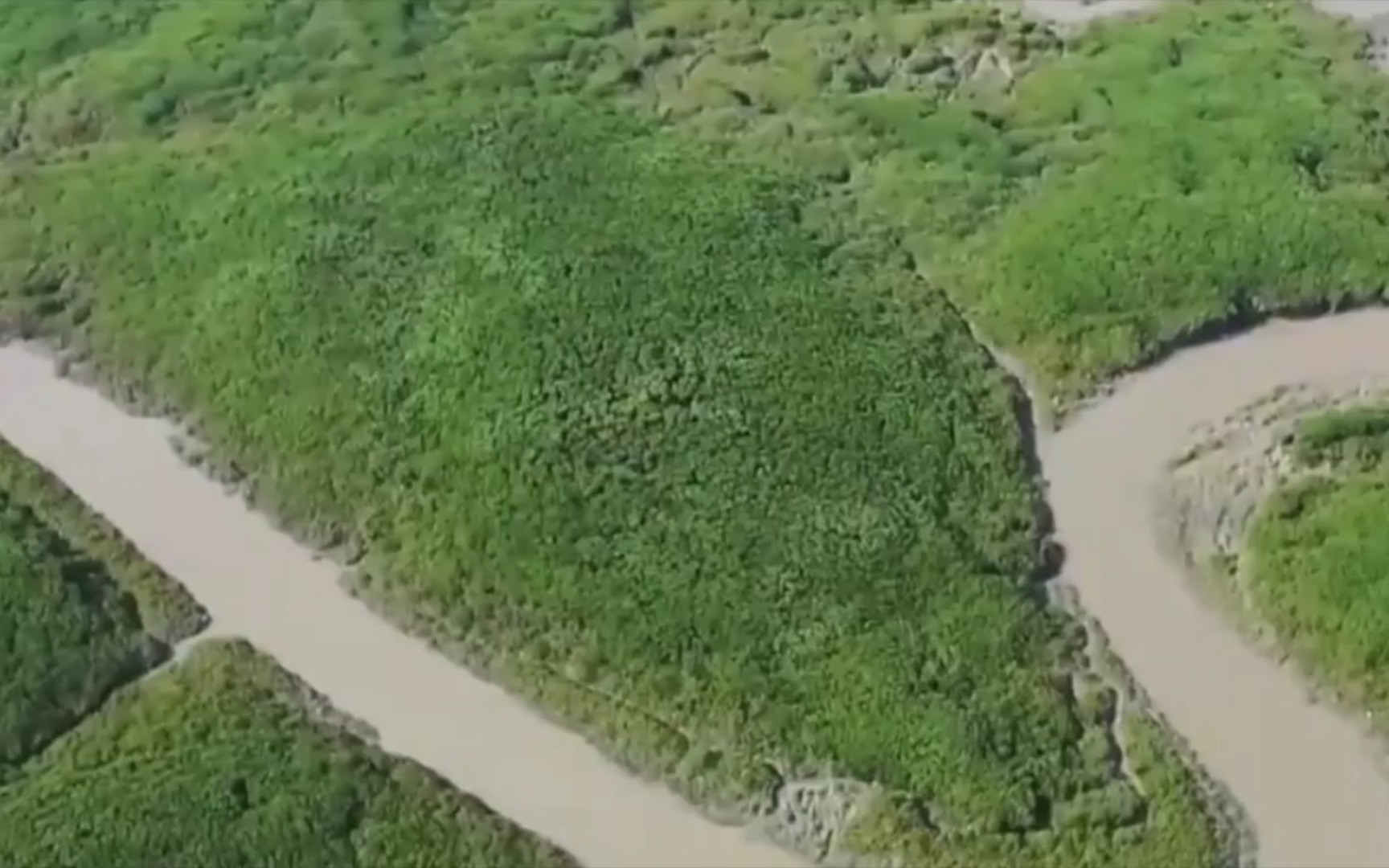 【大美中国】湿地之韵之福建漳江口红树林湿地哔哩哔哩bilibili