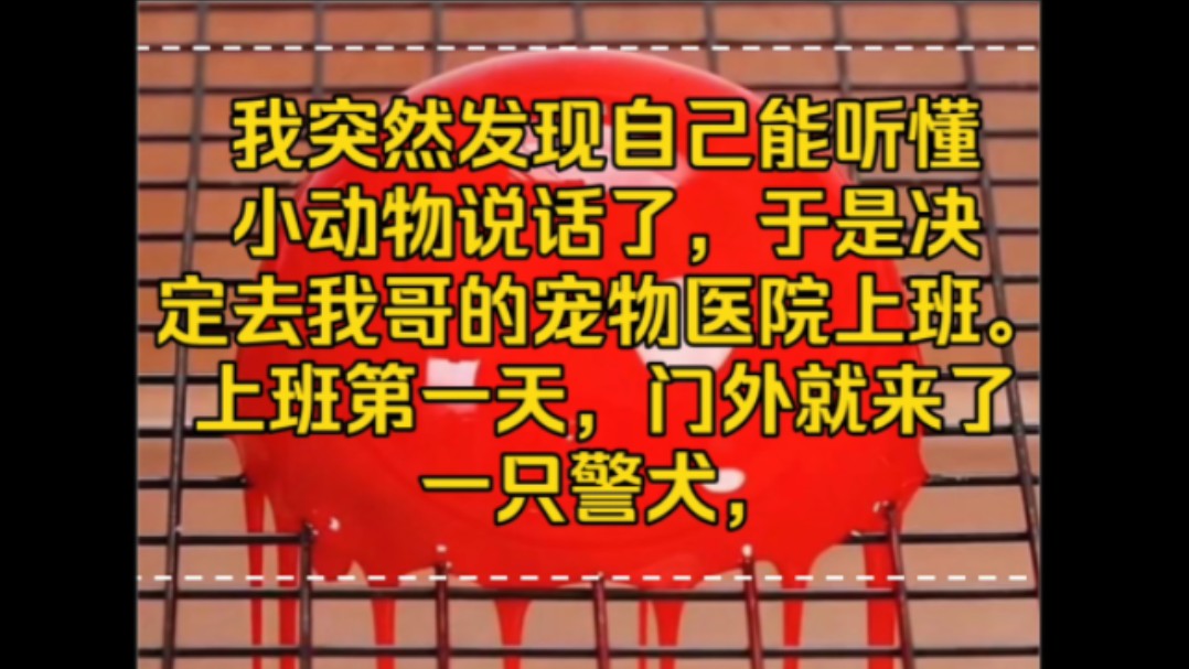 我突然发现自己能听懂小动物说话了,于是决定去我哥的宠物医院上班.上班第一天,门外就来了一只警犬,我将他告诉我的消息转告给警察后,警察不相...