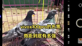 Video herunterladen: vivox100pro的长焦微距到底有多强，我的回答是：40倍变焦放大效果依然.....