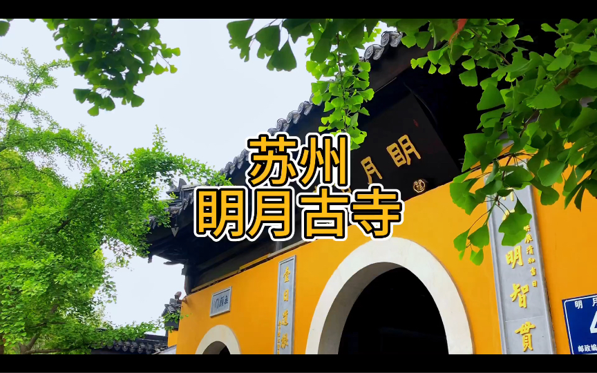 木渎古镇 #古镇游 #古镇风情 眀月古寺明月古寺木渎古镇山塘街 苏州