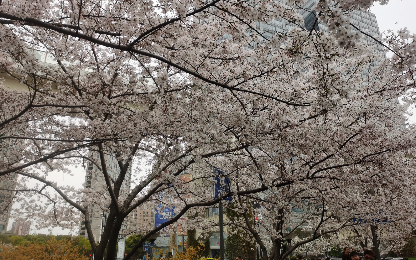 春天来了,又到了动物交配的季节哔哩哔哩bilibili