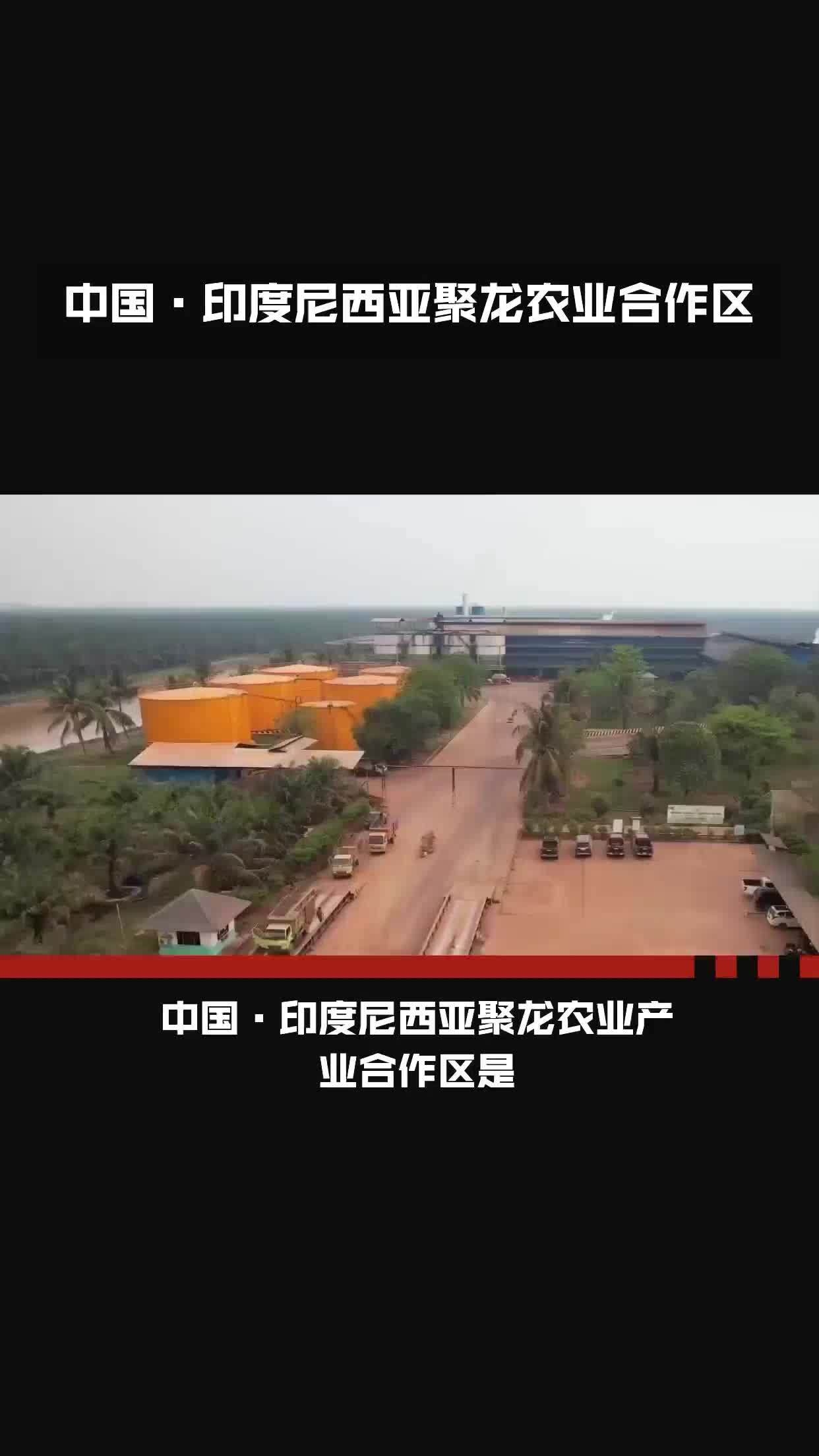 中国ⷥ𐥺楰𜨥🤺š聚龙农业产业合作区哔哩哔哩bilibili