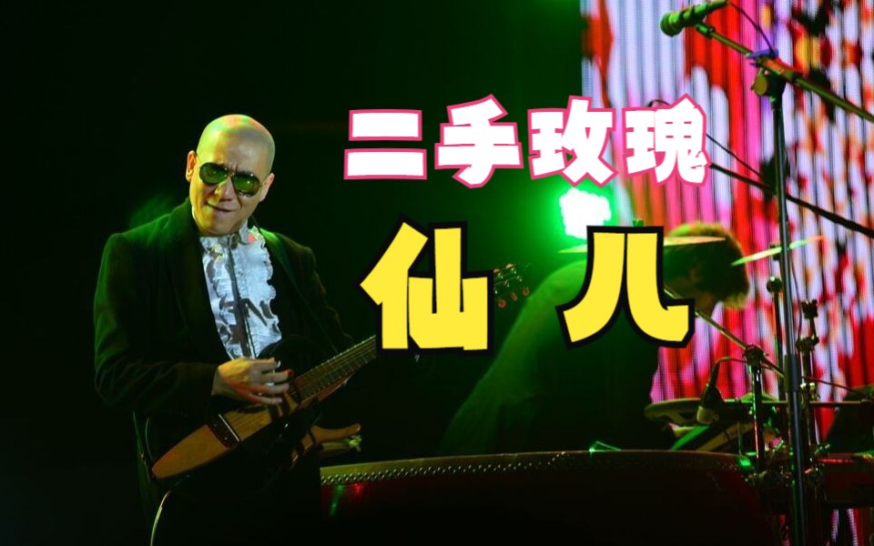 听说听的了这首歌的都病的不轻!| 二手玫瑰《仙儿》[bass cover]