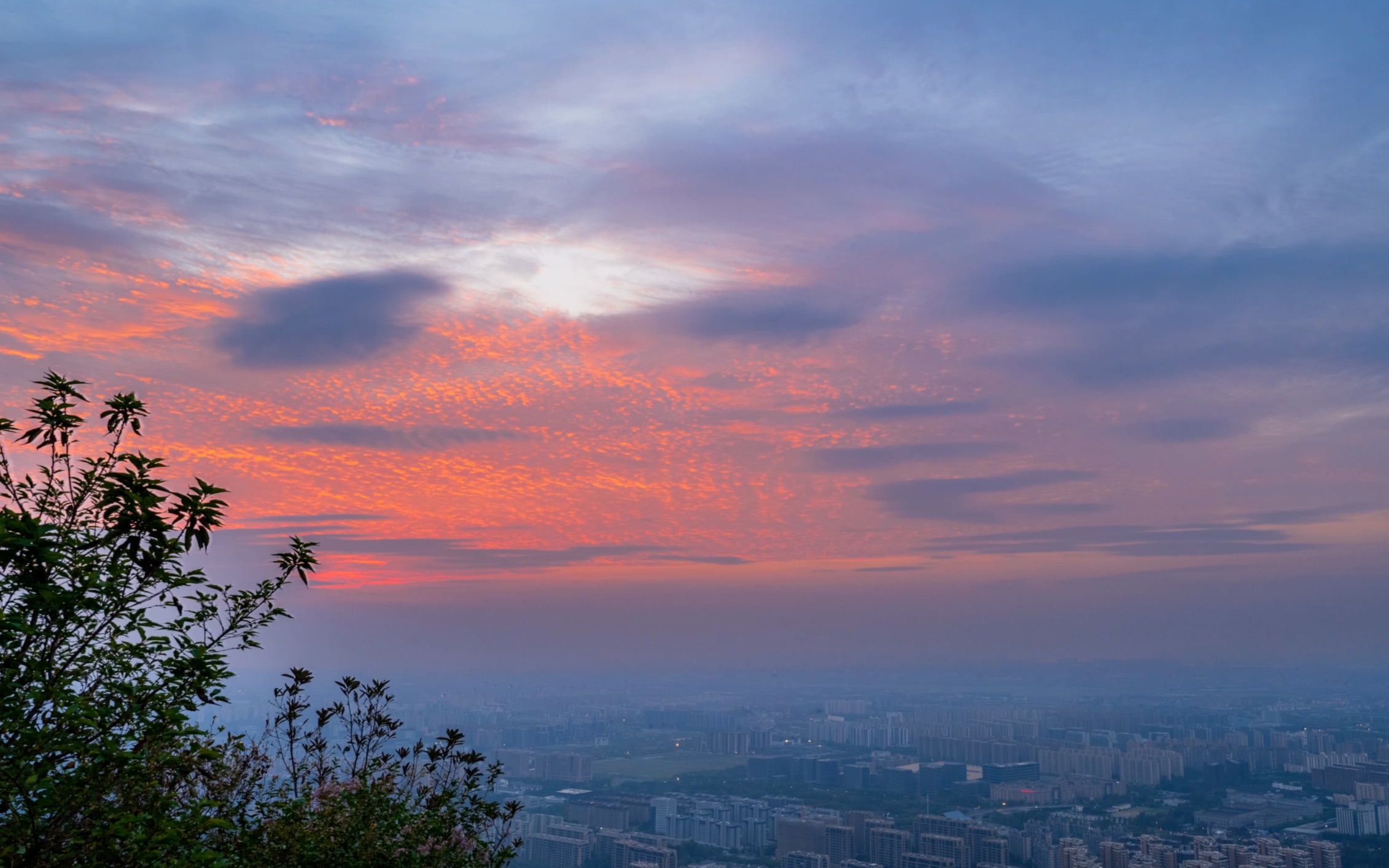 半山国家森林的朝霞