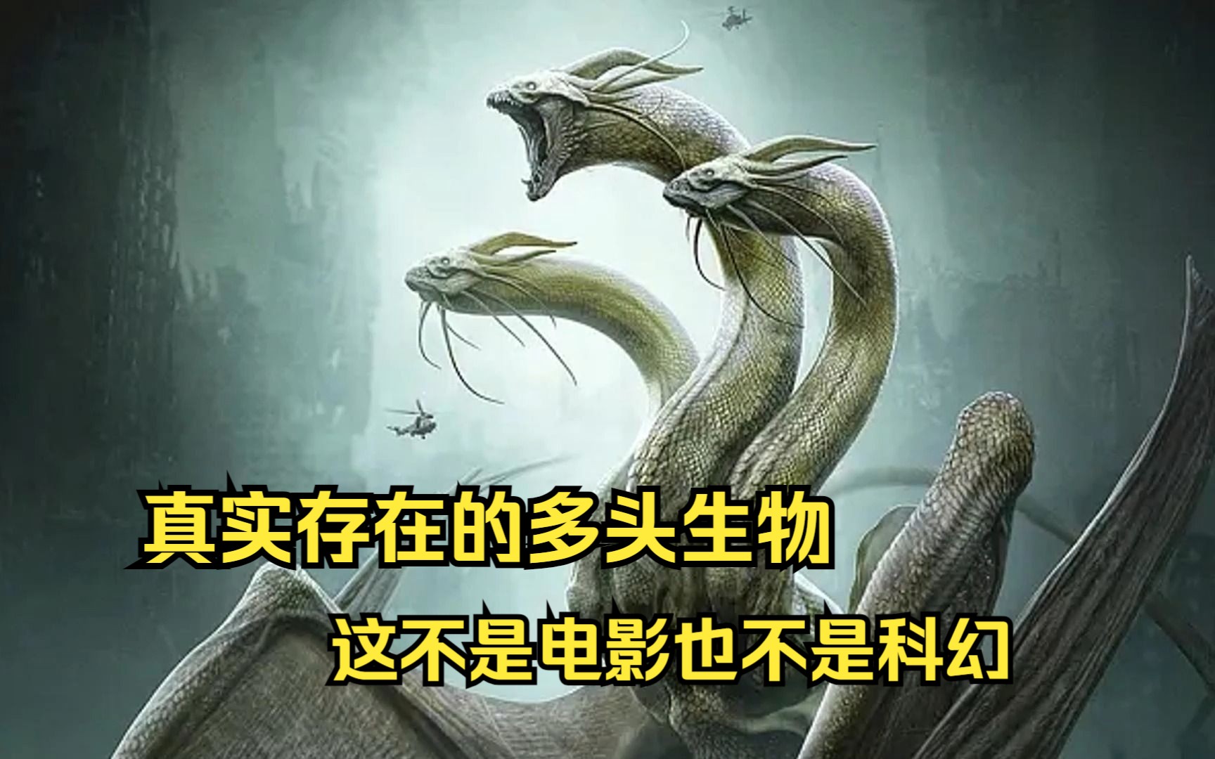 盘点真实存在的多头生物,这不是电影,不是科幻,最后一只超出你的想象