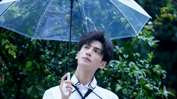 罗云熙撑伞系列