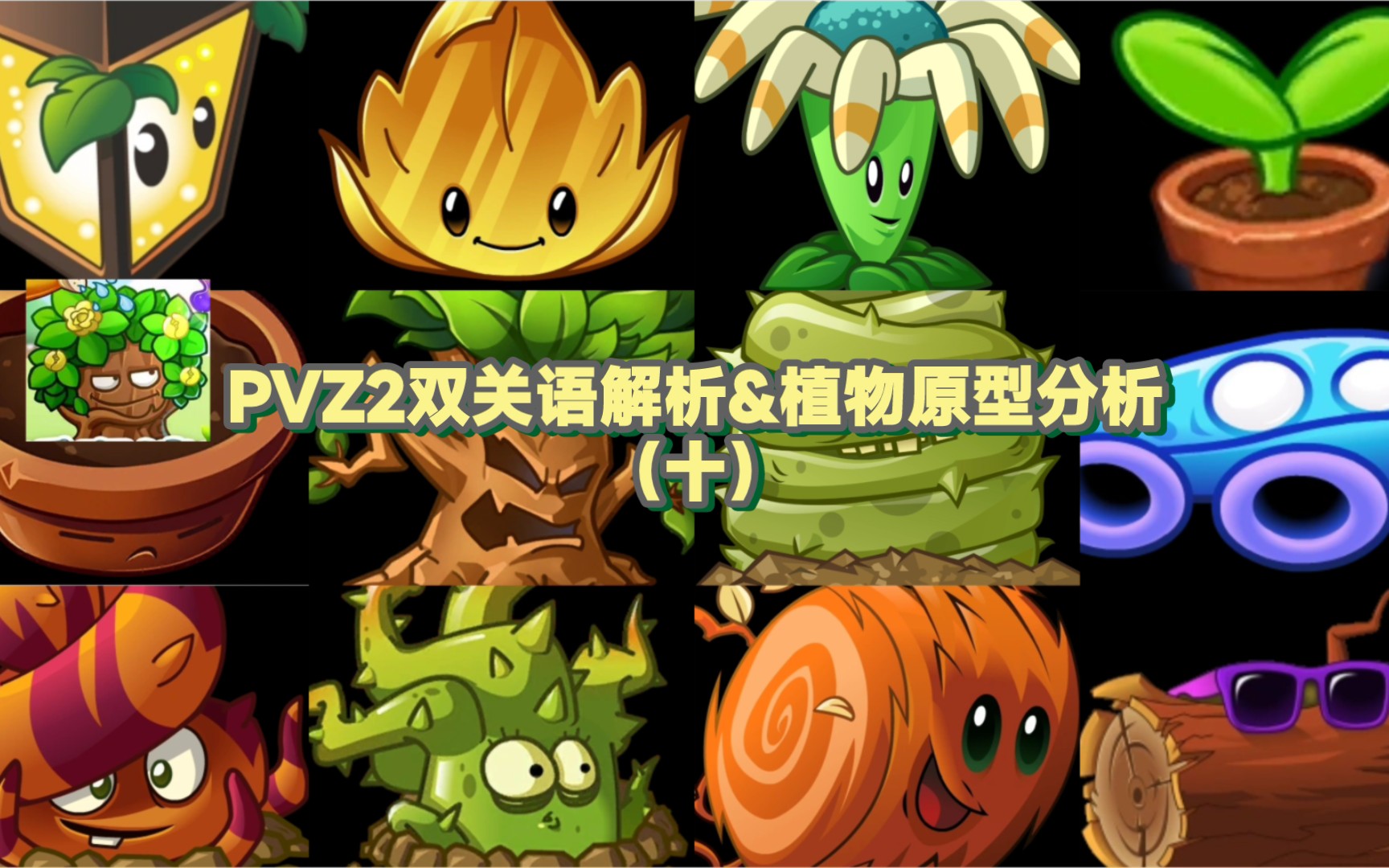 (Pvz2双关语解析&植物原型分析)(十):抽象大师——原型?不存在的哔哩哔哩bilibili植物大战僵尸