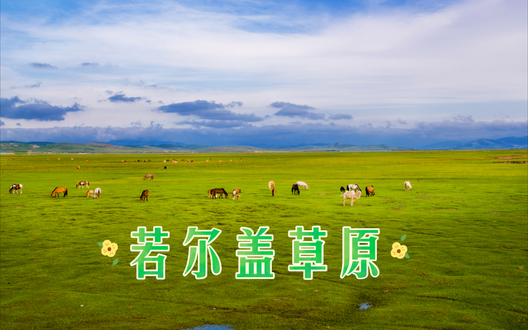 若尔盖草原沿途风景