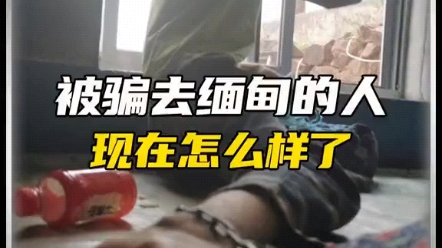 [图]被骗去缅甸的人现在怎么样了？