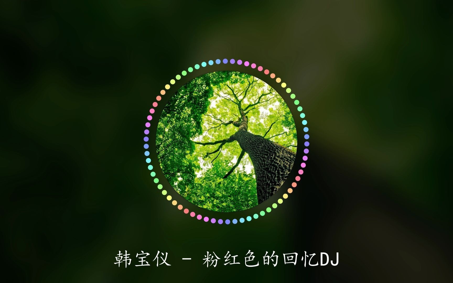 [图]韩宝仪 - 粉红色的回忆DJ