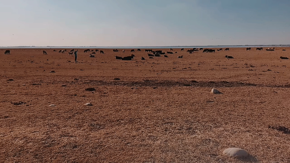 秋天的蘑菇湖水库